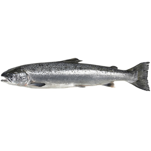 Zalm (Noors)